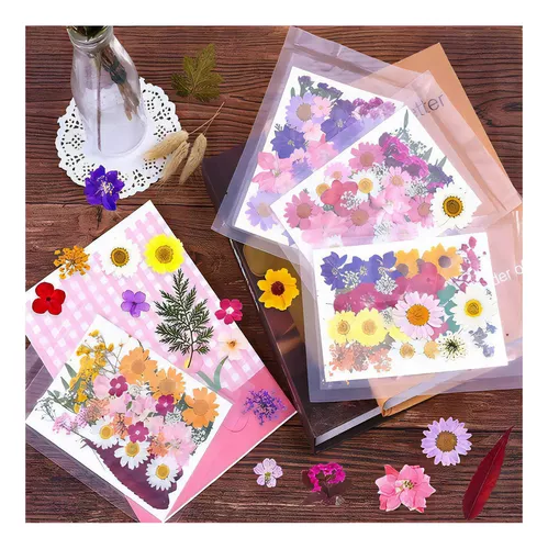 DALARAN Paquete de 3 flores secas prensadas para hacer resina y velas,  múltiples flores naturales prensadas coloridas flores secas decorativas  para