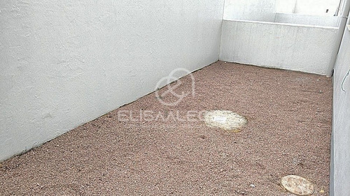 Imagem 8 de 23 de Apartamento Térreo C/ Pátio Privativo Estância Velha, Canoas - 122