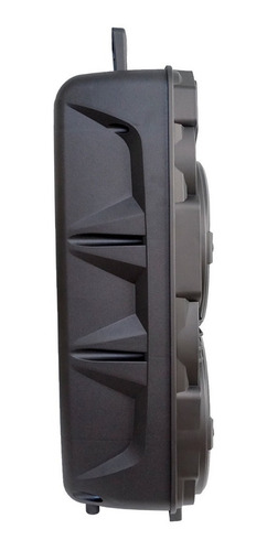 Imagem 2 de 2 de Caixa De Som Com Bateria E Bluetooth Pro Bass Wave 208