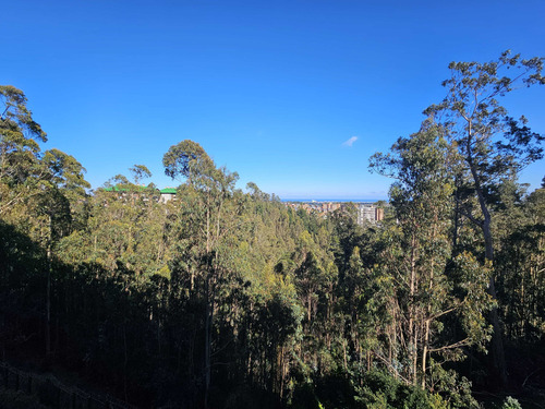 Venta Departamento Andalue (63274)