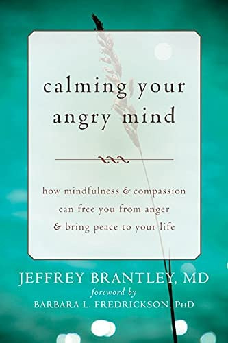 Calming Your Angry Mind: How Mindfulness And Compassion Can Free You From Anger And Bring Peace To Your Life, De Brantley Md, Jeffrey. Editorial New Harbinger Publications, Tapa Blanda En Inglés