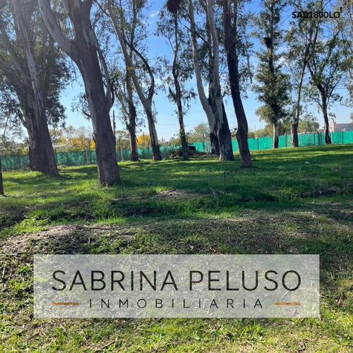 Terreno En  Barrio Alvarez Del Bosque