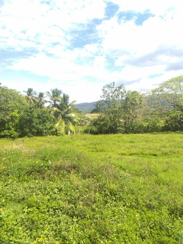 Imagen 11 de 17 de Finca En Venta Ubicada En San Jose De Sanare Estado Falcon.