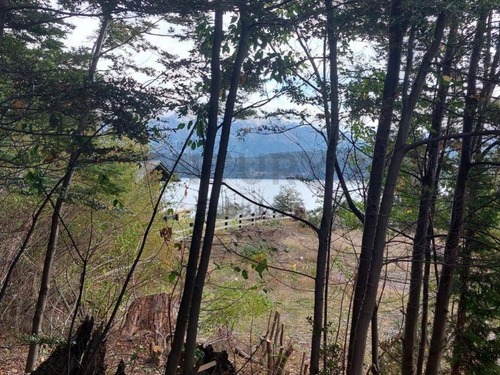 Imagen 5 de 18 de Lote De 2.702m2 Con Vista Al Lago, Bº Cerrado Bahía Montaña, Villa La Angostura