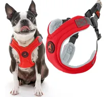 Comprar Arnés De Espuma Viscoelástica Sin Escapes, Color Rojo, Grand