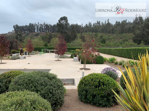 Sitio En Venta En Concón