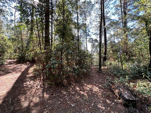 Terreno Boscoso Colindante Con Río Dentro De Privada