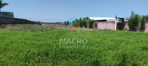 Terreno En Venta En Yecapixtla Con Conexión A Servicios Y Con Bardas Propias