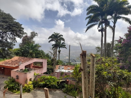 Imagen 1 de 11 de Gran Terreno 1050m²-carretera Alto Hatillo-c.ciega-vista-hatillo-if