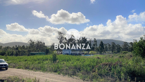Imagen 6 de 6 de Terreno Esquina En Venta En Punta Colorada, Piriapolis