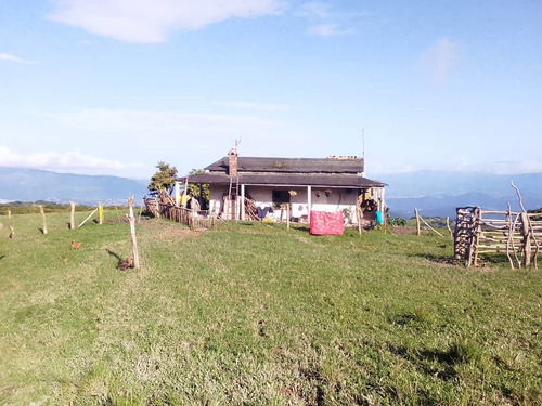 Imagen 5 de 7 de En Venta Finca Capacho Libertad 19.5 Has Ah