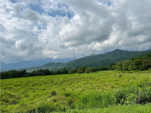 Impresionante Rancho En Manuel Avila Camacho - Tonalá