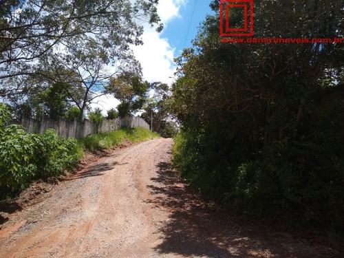 Imagem 11 de 12 de Terreno - Te00008 - 69258914