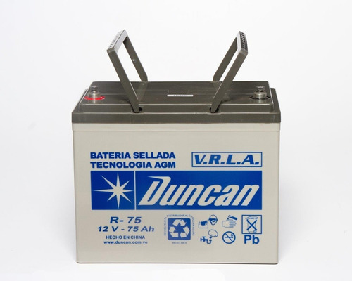 Batería Para Ups R-75 (12v 75ah)