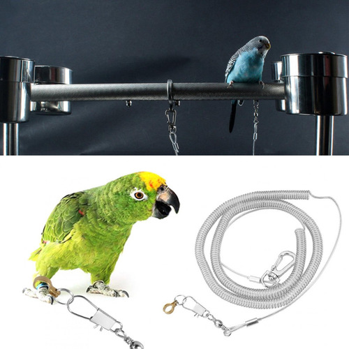 6m Flexible Mascota Loro Pájaro Correa Arnés Anti-mordedura
