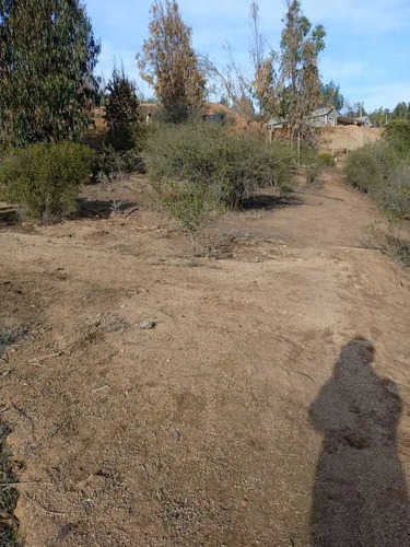 Parcela Agrado Villa Alemana 5000 M2 (74700)