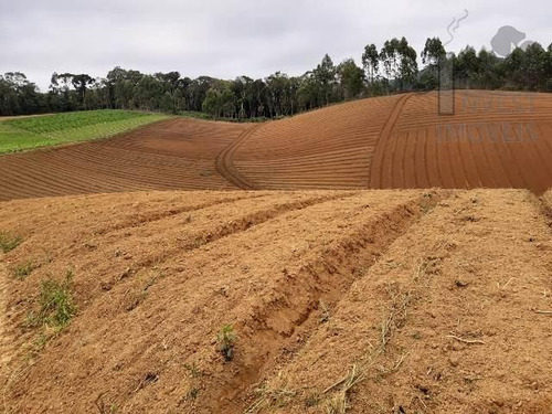 Imagem 1 de 15 de Cód 4204- Excelente Terreno Em Ibiúna. - 4204