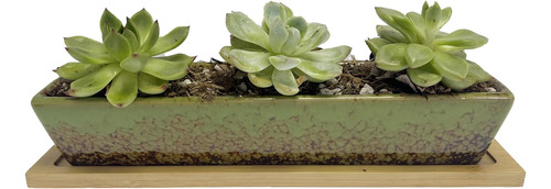 Maceta Rectangular Larga De Cerámica Verde De 9.8 Pulgadas P