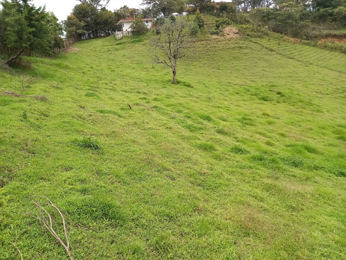 Venta Lote En El Carmen De Viboral - Vereda Garzonas