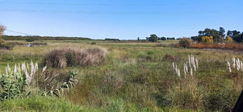 Venta Sauce Ruta 6 Km 44 , 8 Hectáreas, Tajamar