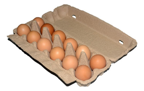 3 Cartones De Huevos, Soporte Para Huevos De Pulpa Natural,