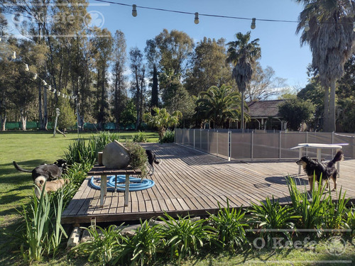Quinta En Venta En Arturo Segui, La Plata Sobre Lote De 6000 M2