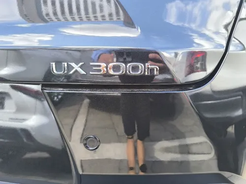 Lexus UX 5p 300h HEV L4/2.0 Aut