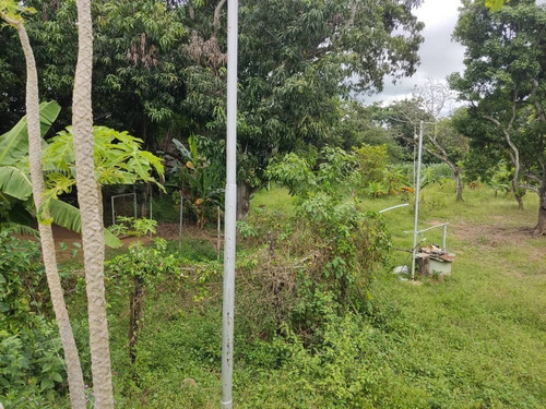 Imagen 9 de 26 de Kn Bienes Raices Vende Finca En El Sector Guayabitos, Tinaquillo Estado Cojedes. Karen Nuñez 0412-7415693