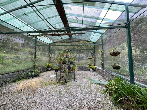 Se Vende Exclusiva Finca De 88 Hectáreas A Puerta Cerrada En Cacute Estado Mérida.