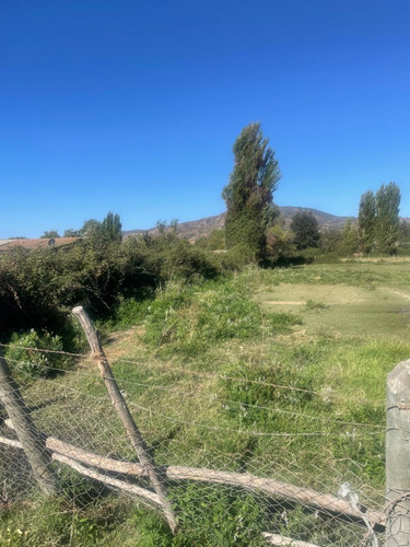 Parcela Agricola 5.000 M2 Las Quiscas Las Cabras