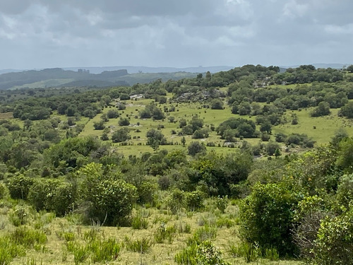 Chacra En Venta Sierras De Aiguá