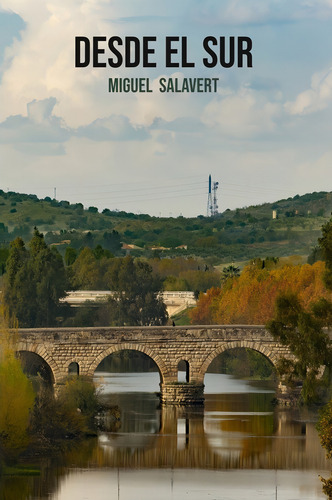 Desde El Sur (novela), De Manzanera, Miguel. Editorial Irrecuperables, Tapa Blanda En Español