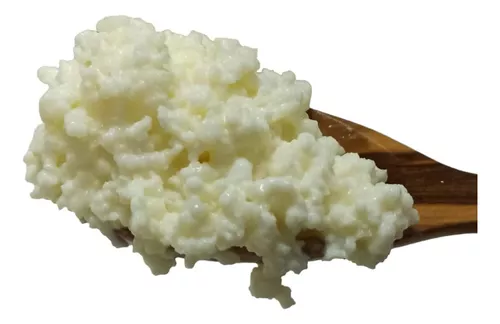 Kéfir de agua y de leche – Kéfir Medellín