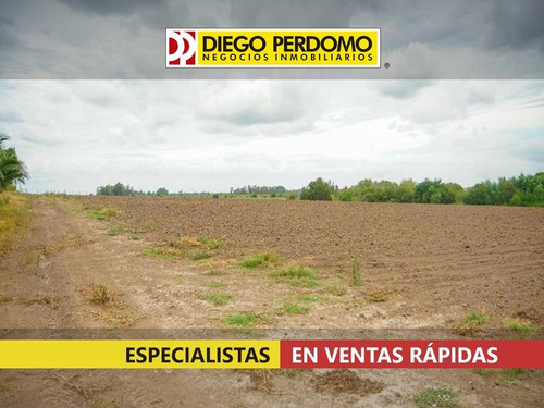 Chacra En Venta De 4,3 Has En Venta, Ruta Nº1 Km 47