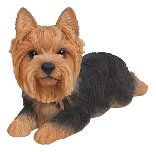 ~? Hi-line Gift Ltd Yorkshire Terrier Perro Acostado Estatua