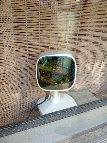 2908065975