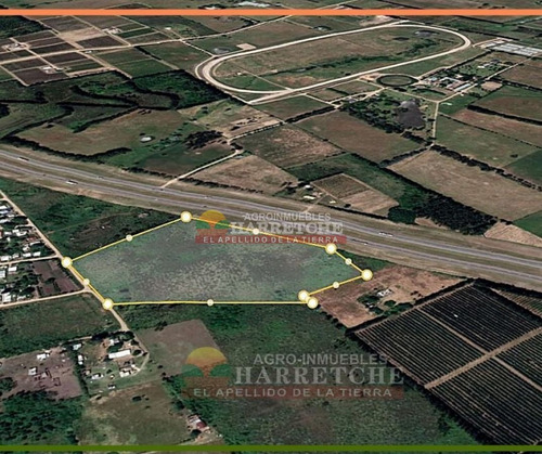 Imagen 3 de 14 de Terreno En Alquiler 44.857 M2 Urbanos Ruta 5 Apto Parque Industrial U$s 0.10 (el M2)