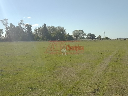 Imagen 3 de 15 de Venta,de Importante Campo En Roberto. J. Payro, Partido De Magdalena.