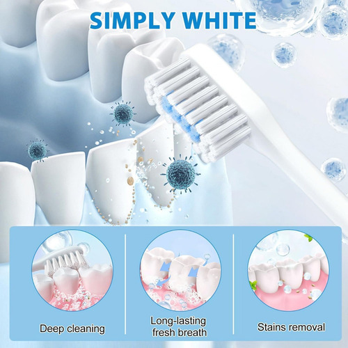 Z Pasta De Dientes En Polvo Para Blanquear Los Dientes,