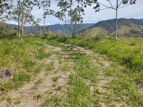 Imagem 3 de 19 de Terreno À Venda No Bairro Pilões - Guaratinguetá/sp - Tr010-1