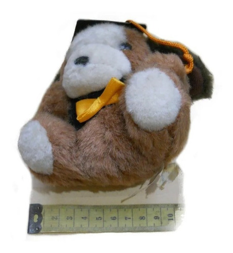 Peluche Egresado Perro Con Birrete Tamaño Chico (Usado)