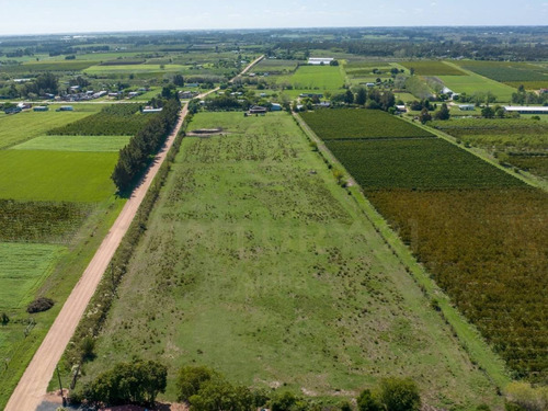 Imagen 20 de 27 de Descubre Una Propiedad Única En El Colorado, Canelones: 2 Casas, 4 Ha Y Galpón
