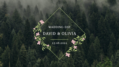 Titulos Animados Para Video De Casamento - Ae Template