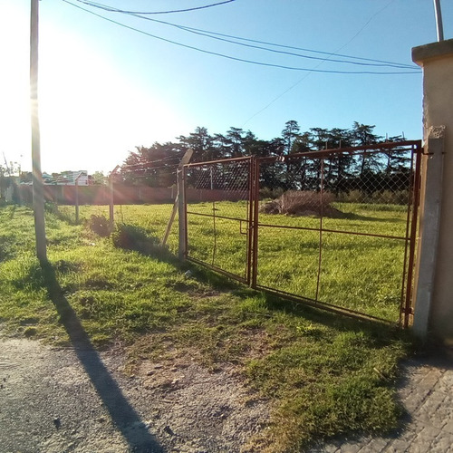Imagen 2 de 3 de Terreno En Venta Lima, Zarate.