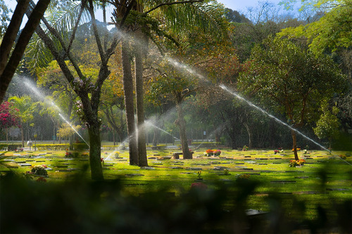Jazigo Completo No Cemitério Parque Jaraguá Nobre Tradicional 6 Gavetas