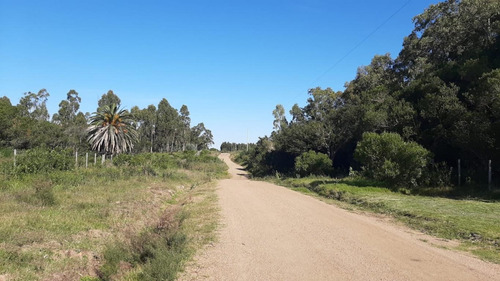 Chacra De 5 Hectáreas A 5km De La Playa De Solís