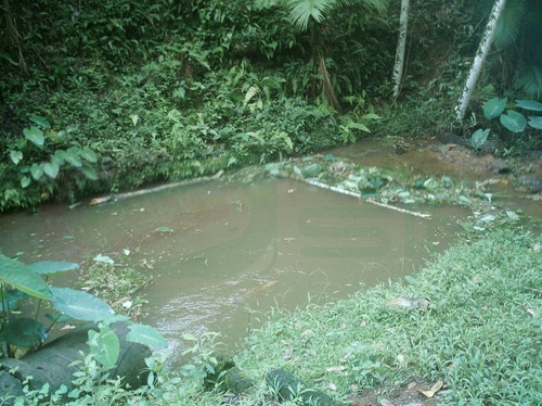 Imagem 6 de 6 de Chácara Em Miracatu - 2876