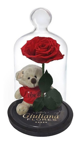 Rosa Encantada Vermelha Com Urso Giuliana Flores | Parcelamento sem juros