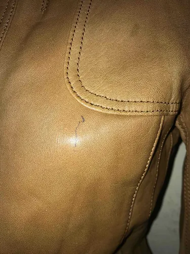Pull camel hotsell