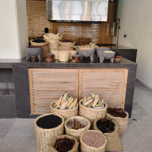 Clevia Autograph Collection Residences San Miguel Allende
